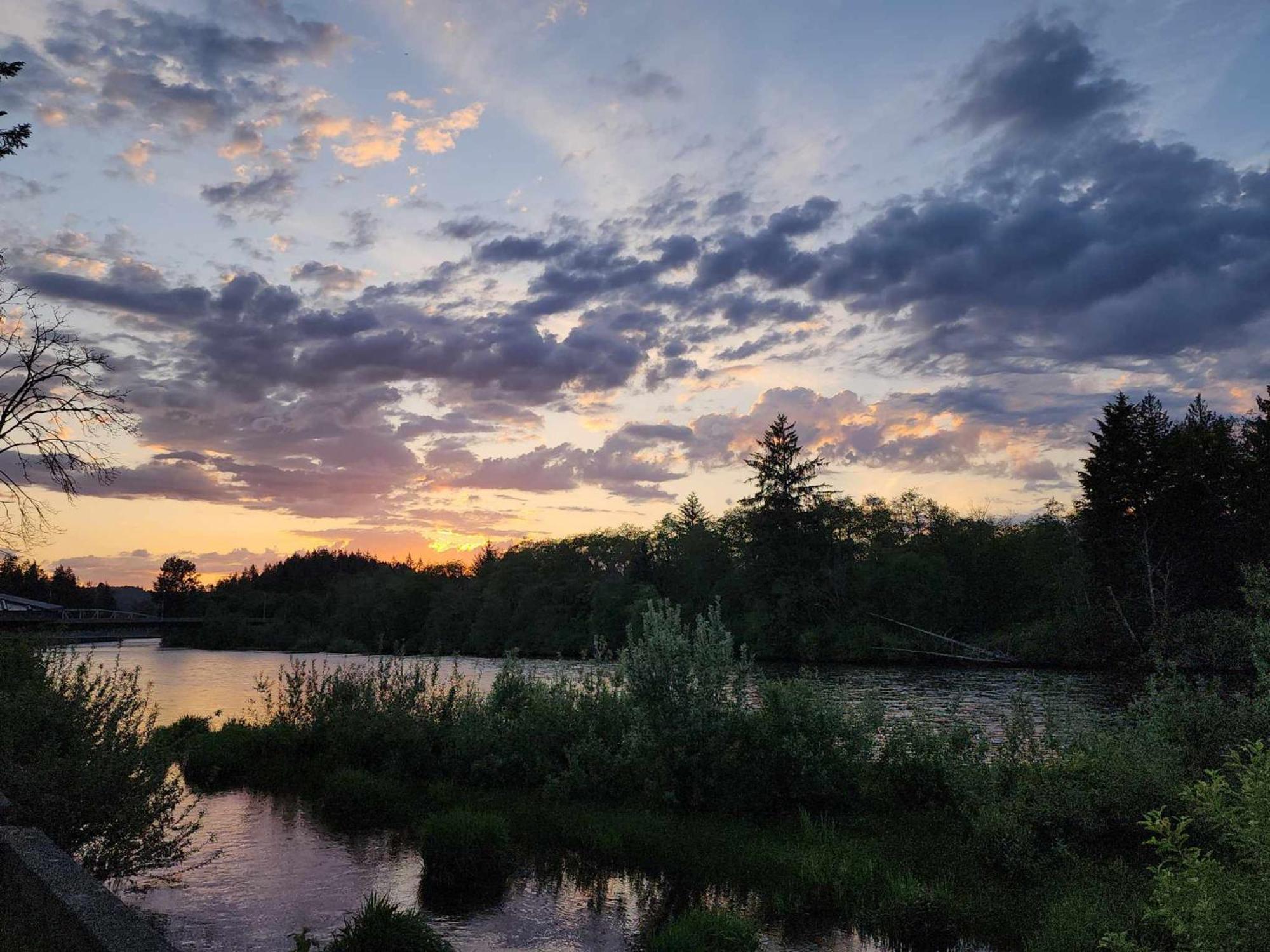 Campbell River Lodge Екстериор снимка